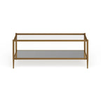 Hera 45 Wide Rectangular Coffee Table with Mirror Shelf